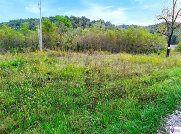 Howard Tucker Rd, Hudson, Kentucky 40145, ,For Sale,Howard Tucker Rd,HK24004024