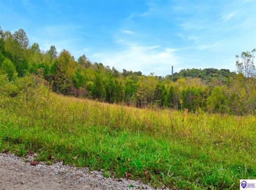Howard Tucker Rd, Hudson, Kentucky 40145, ,For Sale,Howard Tucker Rd,HK24004024