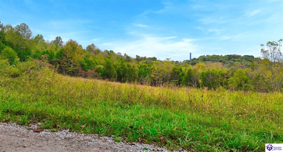 Howard Tucker Rd, Hudson, Kentucky 40145, ,For Sale,Howard Tucker Rd,HK24004024