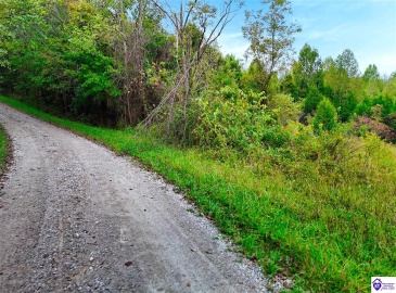 Howard Tucker Rd, Hudson, Kentucky 40145, ,For Sale,Howard Tucker Rd,HK24004024