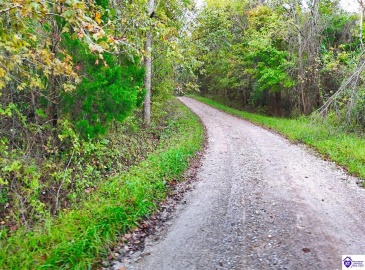 Howard Tucker Rd, Hudson, Kentucky 40145, ,For Sale,Howard Tucker Rd,HK24004024