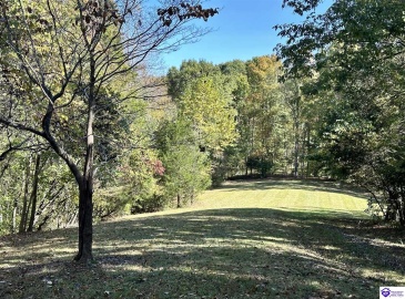 D Wilson Road, Knifley, Kentucky 42753, ,3 BathroomsBathrooms,For Sale,D Wilson Road,HK24004027