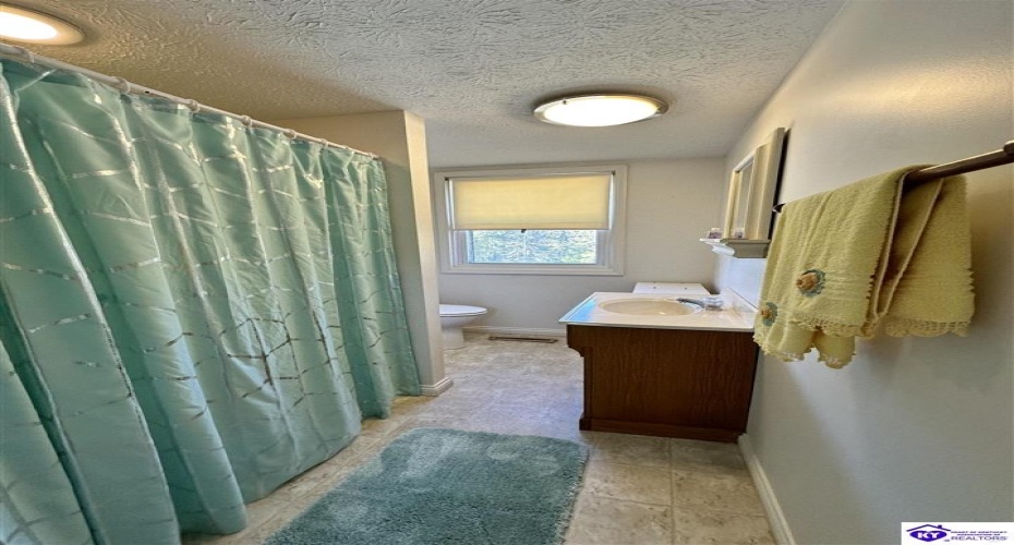 D Wilson Road, Knifley, Kentucky 42753, ,3 BathroomsBathrooms,For Sale,D Wilson Road,HK24004027