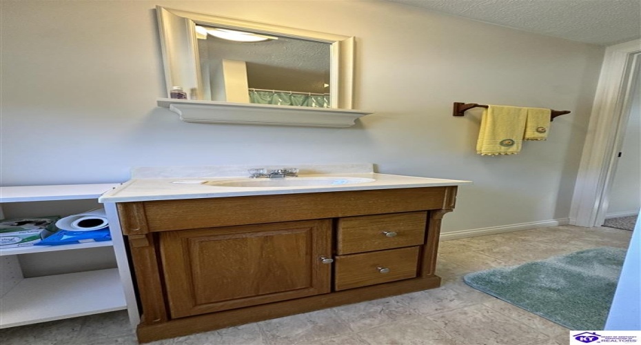 D Wilson Road, Knifley, Kentucky 42753, ,3 BathroomsBathrooms,For Sale,D Wilson Road,HK24004027