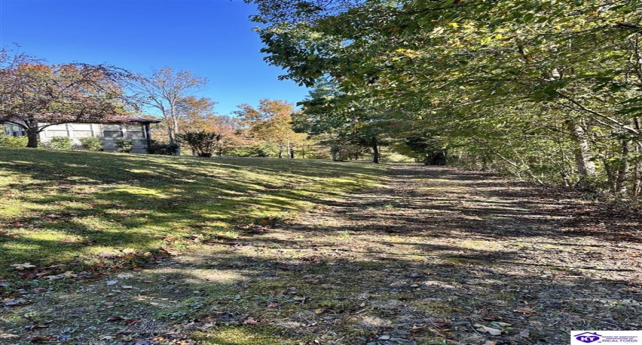 D Wilson Road, Knifley, Kentucky 42753, ,3 BathroomsBathrooms,For Sale,D Wilson Road,HK24004027