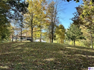 D Wilson Road, Knifley, Kentucky 42753, ,3 BathroomsBathrooms,For Sale,D Wilson Road,HK24004027