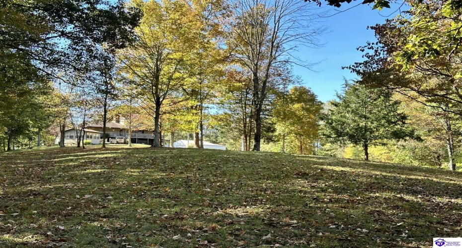 D Wilson Road, Knifley, Kentucky 42753, ,3 BathroomsBathrooms,For Sale,D Wilson Road,HK24004027