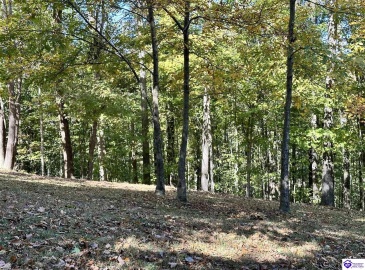 D Wilson Road, Knifley, Kentucky 42753, ,3 BathroomsBathrooms,For Sale,D Wilson Road,HK24004027