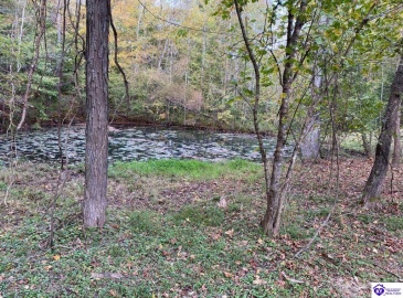 D Wilson Road, Knifley, Kentucky 42753, ,3 BathroomsBathrooms,For Sale,D Wilson Road,HK24004027