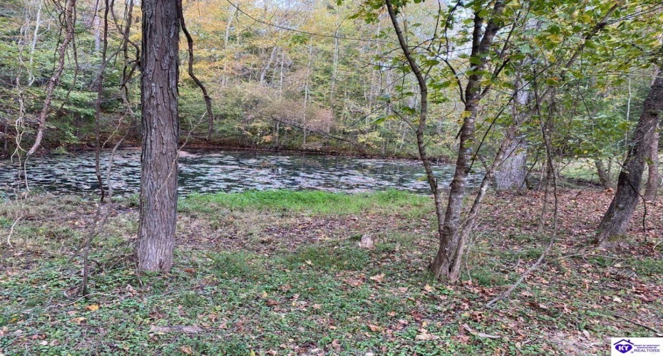 D Wilson Road, Knifley, Kentucky 42753, ,3 BathroomsBathrooms,For Sale,D Wilson Road,HK24004027