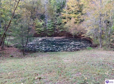 D Wilson Road, Knifley, Kentucky 42753, ,3 BathroomsBathrooms,For Sale,D Wilson Road,HK24004027