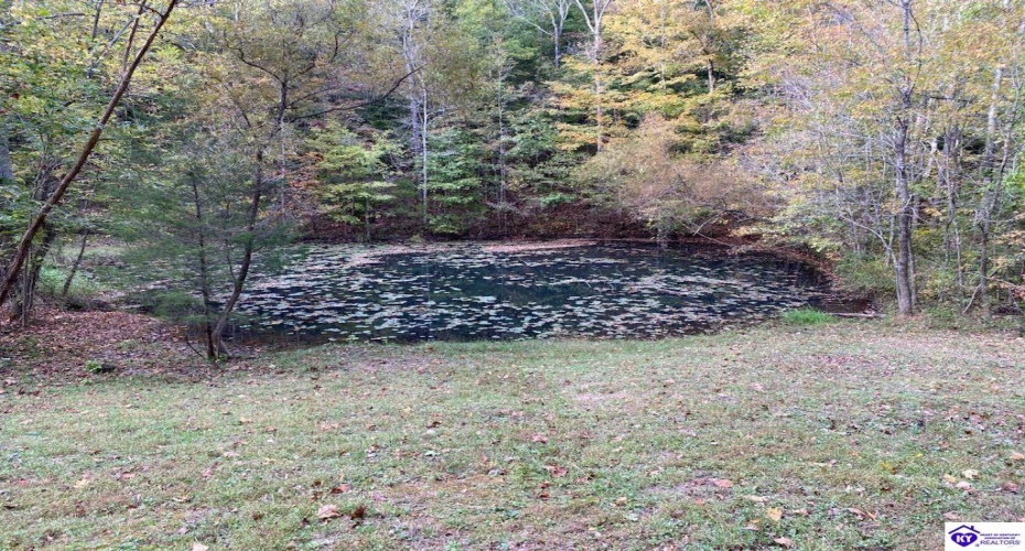 D Wilson Road, Knifley, Kentucky 42753, ,3 BathroomsBathrooms,For Sale,D Wilson Road,HK24004027