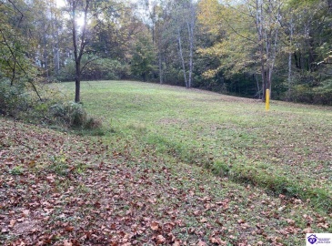 D Wilson Road, Knifley, Kentucky 42753, ,3 BathroomsBathrooms,For Sale,D Wilson Road,HK24004027