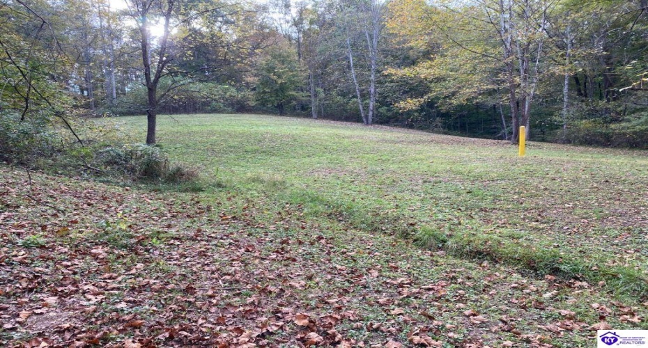 D Wilson Road, Knifley, Kentucky 42753, ,3 BathroomsBathrooms,For Sale,D Wilson Road,HK24004027