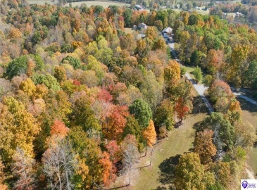 D Wilson Road, Knifley, Kentucky 42753, ,3 BathroomsBathrooms,For Sale,D Wilson Road,HK24004027