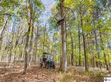 Ashby Lane, Custer, Kentucky 40115, ,2 BathroomsBathrooms,For Sale,Ashby Lane,HK24004028