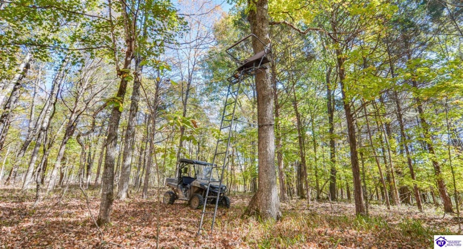 Ashby Lane, Custer, Kentucky 40115, ,2 BathroomsBathrooms,For Sale,Ashby Lane,HK24004028