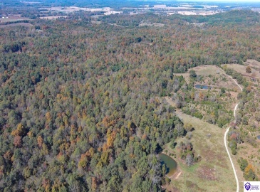 St John Road, Cecilia, Kentucky 42724, ,For Sale,St John Road,HK24004043