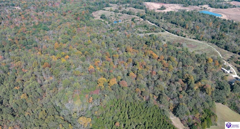 St John Road, Cecilia, Kentucky 42724, ,For Sale,St John Road,HK24004043