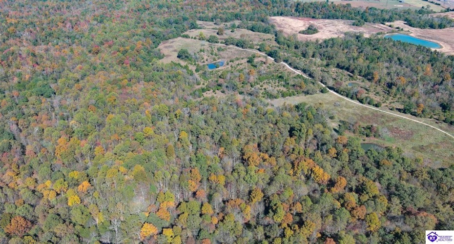 St John Road, Cecilia, Kentucky 42724, ,For Sale,St John Road,HK24004043