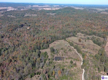 St John Road, Cecilia, Kentucky 42724, ,For Sale,St John Road,HK24004043