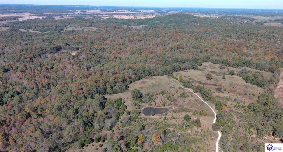 St John Road, Cecilia, Kentucky 42724, ,For Sale,St John Road,HK24004043