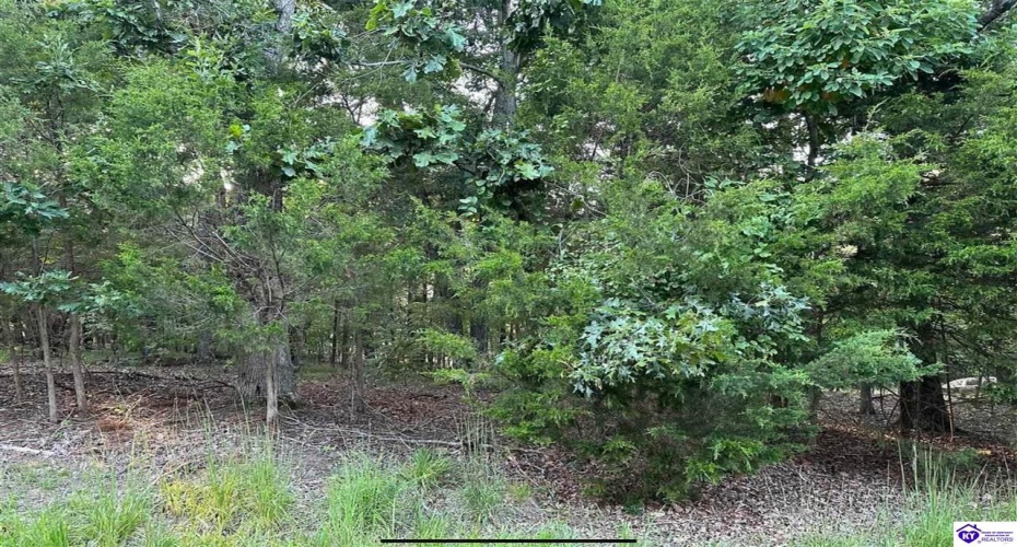 Strawberry Hill Drive, Brandenburg, Kentucky 40108, ,For Sale,Strawberry Hill Drive,HK24004045