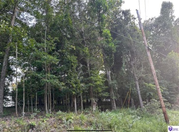 Strawberry Hill Drive, Brandenburg, Kentucky 40108, ,For Sale,Strawberry Hill Drive,HK24004045