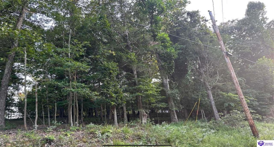 Strawberry Hill Drive, Brandenburg, Kentucky 40108, ,For Sale,Strawberry Hill Drive,HK24004045