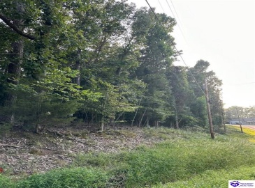 Strawberry Hill Drive, Brandenburg, Kentucky 40108, ,For Sale,Strawberry Hill Drive,HK24004045