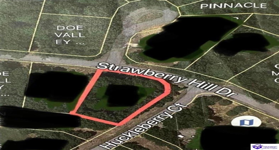 Strawberry Hill Drive, Brandenburg, Kentucky 40108, ,For Sale,Strawberry Hill Drive,HK24004045