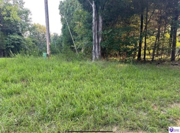 Strawberry Hill Drive, Brandenburg, Kentucky 40108, ,For Sale,Strawberry Hill Drive,HK24004045