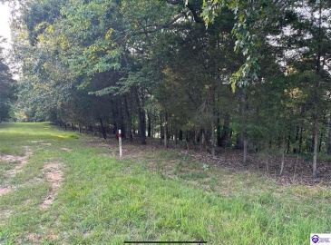 Strawberry Hill Drive, Brandenburg, Kentucky 40108, ,For Sale,Strawberry Hill Drive,HK24004045