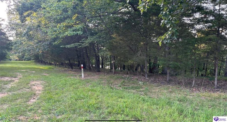 Strawberry Hill Drive, Brandenburg, Kentucky 40108, ,For Sale,Strawberry Hill Drive,HK24004045