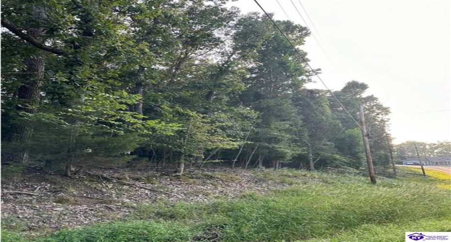 Strawberry Hill Drive, Brandenburg, Kentucky 40108, ,For Sale,Strawberry Hill Drive,HK24004045