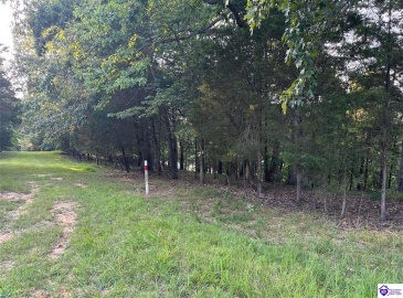 Strawberry Hill Drive, Brandenburg, Kentucky 40108, ,For Sale,Strawberry Hill Drive,HK24004045