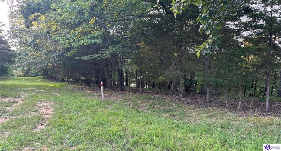 Strawberry Hill Drive, Brandenburg, Kentucky 40108, ,For Sale,Strawberry Hill Drive,HK24004045