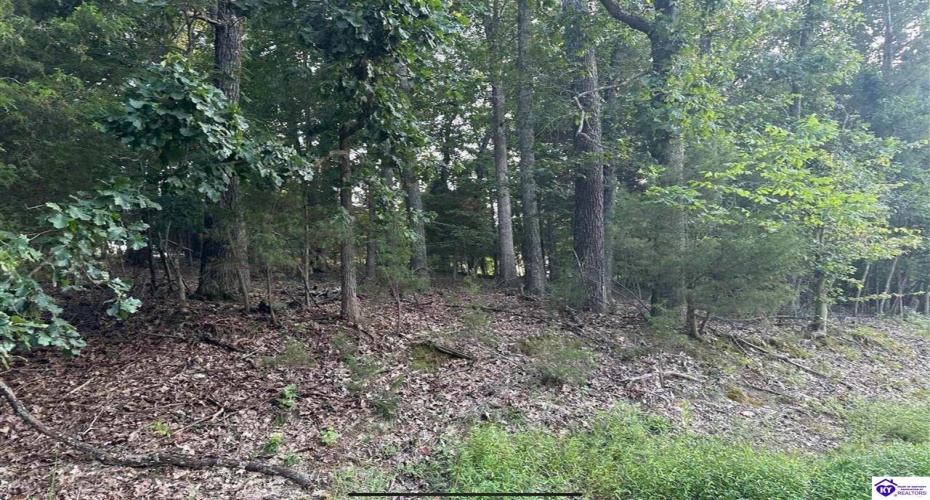 Strawberry Hill Drive, Brandenburg, Kentucky 40108, ,For Sale,Strawberry Hill Drive,HK24004045