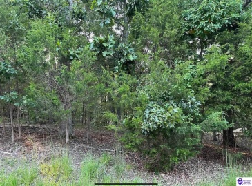 Strawberry Hill Drive, Brandenburg, Kentucky 40108, ,For Sale,Strawberry Hill Drive,HK24004045