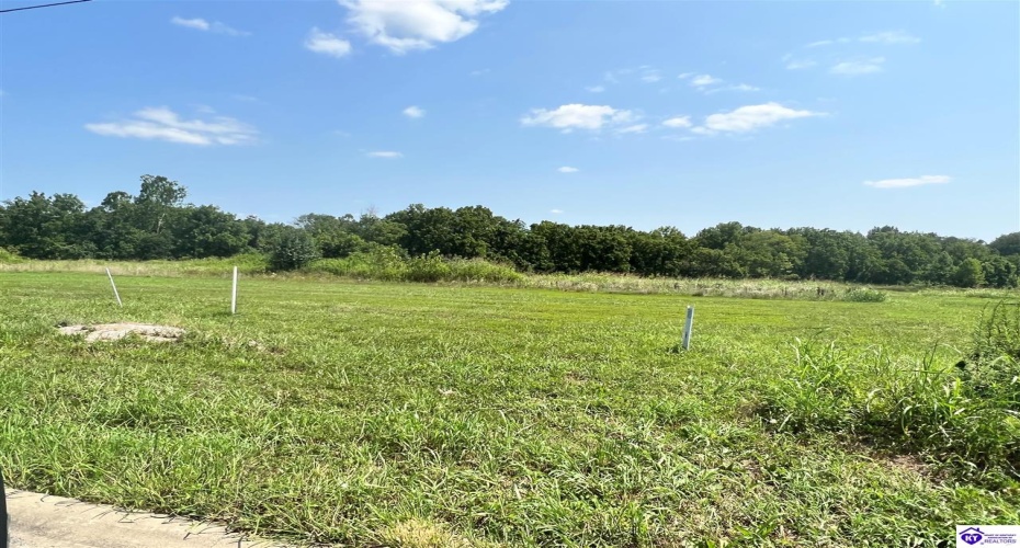 Lambrusco Way, Vine Grove, Kentucky 40175, ,For Sale,Lambrusco Way,HK24004052