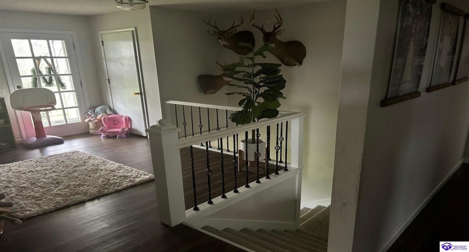 Hawkins Road, Hodgenville, Kentucky 42748, ,4 BathroomsBathrooms,For Sale,Hawkins Road,HK24001460