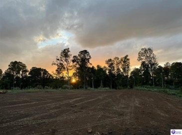 Eagles Nest Road, Ekron, Kentucky 40117, ,2 BathroomsBathrooms,For Sale,Eagles Nest Road,HK24003547