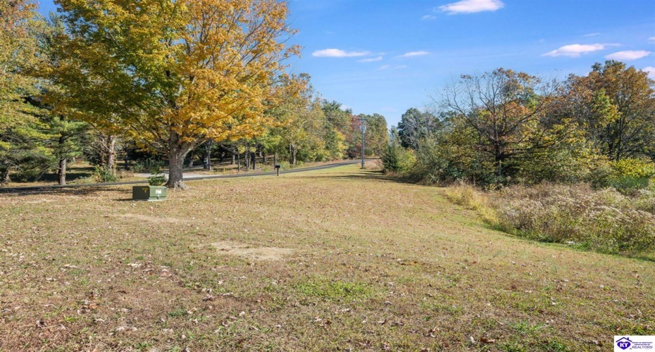 Sunbeam Road, Leitchfield, Kentucky 42754, ,2 BathroomsBathrooms,For Sale,Sunbeam Road,HK24004053