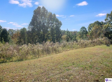 Sunbeam Road, Leitchfield, Kentucky 42754, ,2 BathroomsBathrooms,For Sale,Sunbeam Road,HK24004053