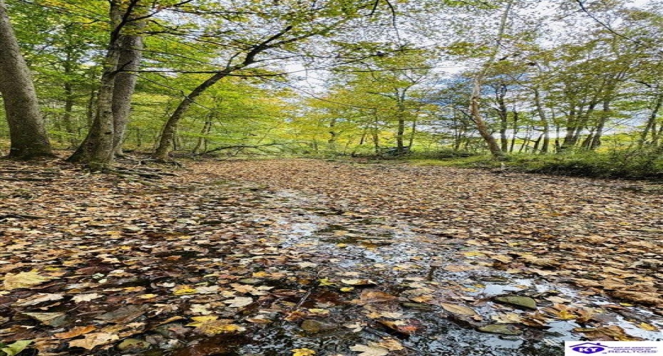 Bowling Green Road, Caneyville, Kentucky 42721, ,2 BathroomsBathrooms,For Sale,Bowling Green Road,HK24004072