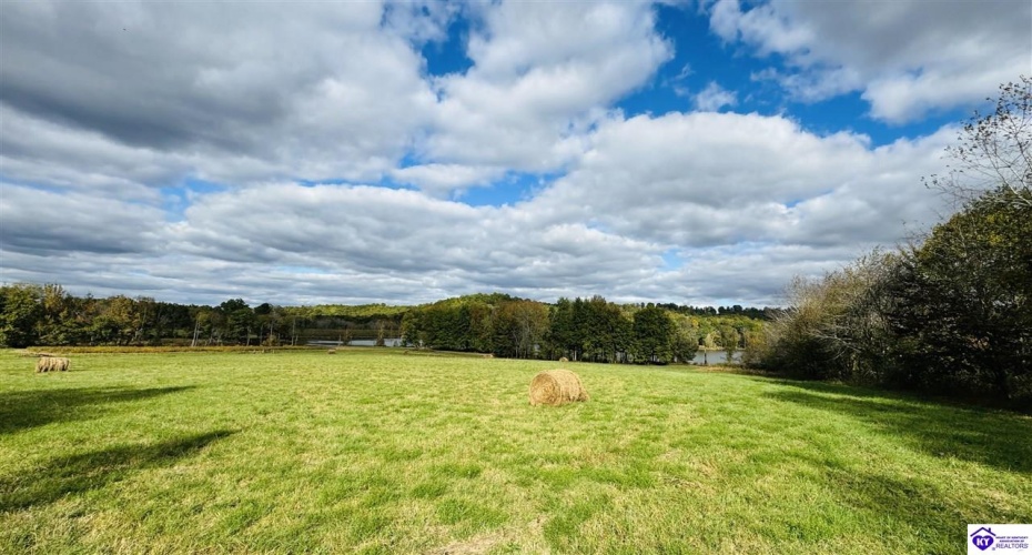 Bowling Green Road, Caneyville, Kentucky 42721, ,2 BathroomsBathrooms,For Sale,Bowling Green Road,HK24004072