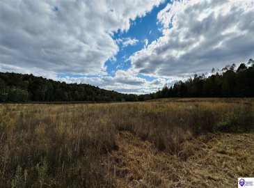 Bowling Green Road, Caneyville, Kentucky 42721, ,2 BathroomsBathrooms,For Sale,Bowling Green Road,HK24004072