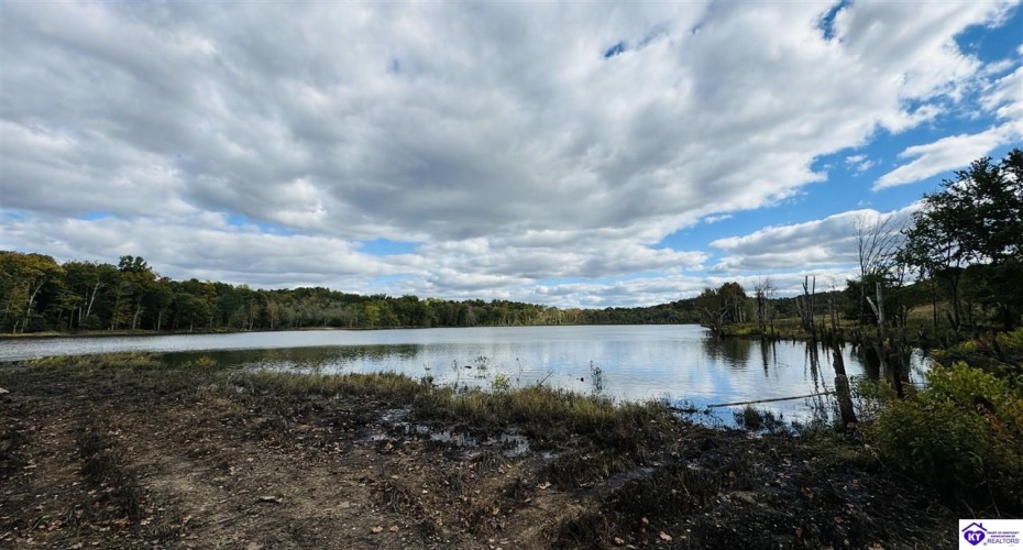 Bowling Green Road, Caneyville, Kentucky 42721, ,2 BathroomsBathrooms,For Sale,Bowling Green Road,HK24004072