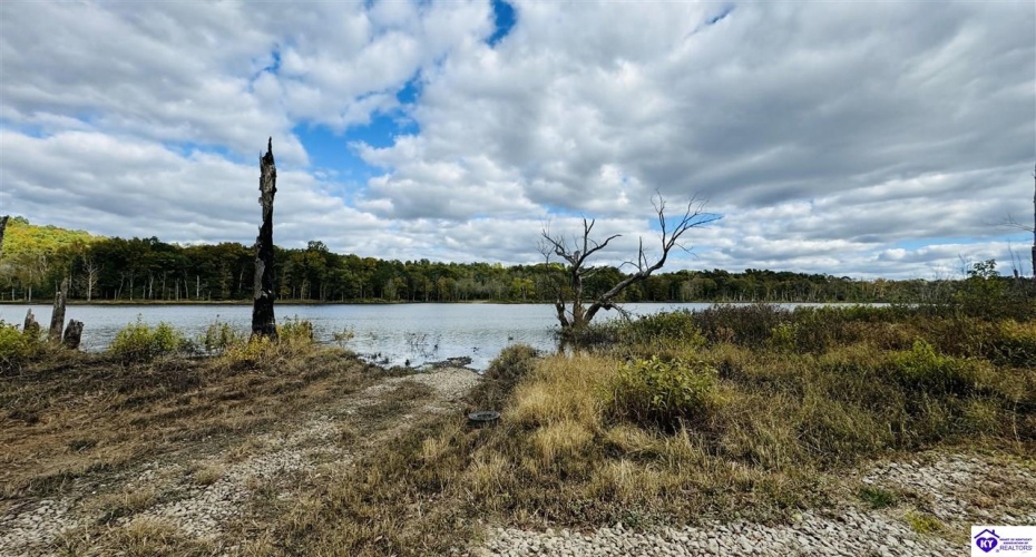 Bowling Green Road, Caneyville, Kentucky 42721, ,2 BathroomsBathrooms,For Sale,Bowling Green Road,HK24004072