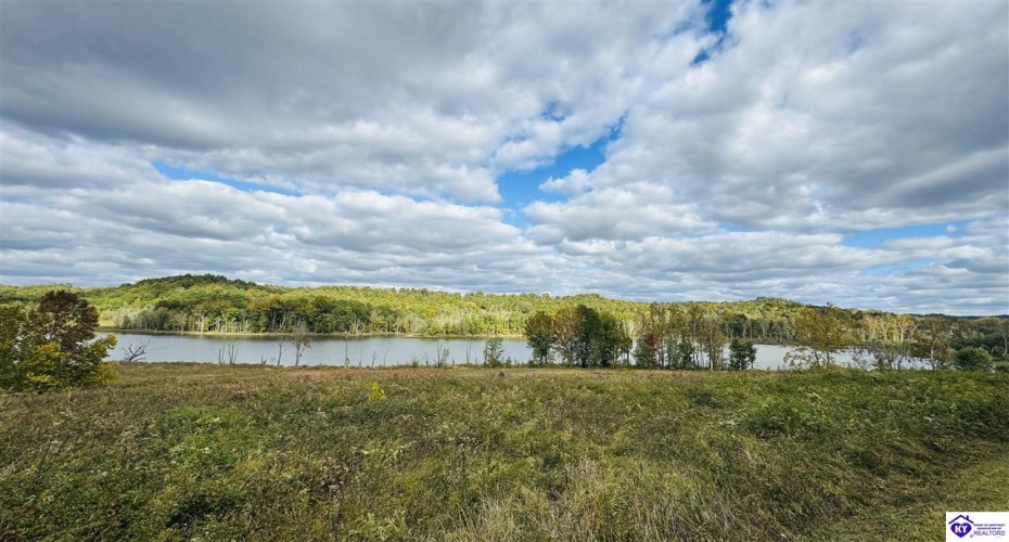 Bowling Green Road, Caneyville, Kentucky 42721, ,2 BathroomsBathrooms,For Sale,Bowling Green Road,HK24004072